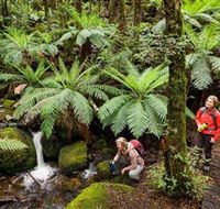 Baw Baw National Park - Hotel Gold Coast