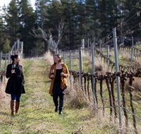 Mount Majura Vineyard - Hotel Gold Coast
