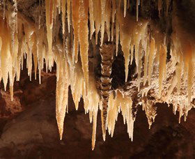 Wombeyan Caves - Hotel Gold Coast 1