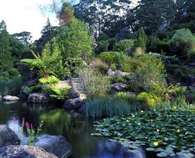 Blue Mountains Botanic Garden - Hotel Gold Coast 1
