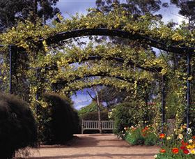 Blue Mountains Botanic Garden - Hotel Gold Coast 0