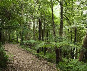 Blue Mountains Botanic Garden - Hotel Gold Coast 3