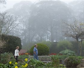 Blue Mountains Botanic Garden - Hotel Gold Coast 6