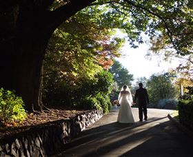 Blue Mountains Botanic Garden - Hotel Gold Coast 7