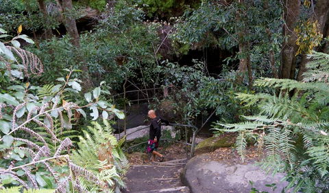 Leura Cascades Fern Bower - Hotel Gold Coast 0