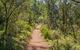 Mares Forest Creek Walking Track - thumb 0