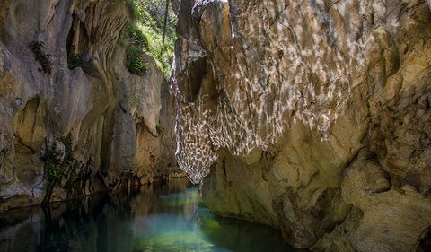 Mares Forest Creek Walking Track - Hotel Gold Coast 2