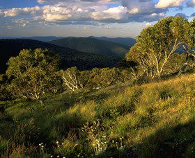 Namadgi National Park And Visitors Centre - Hotel Gold Coast 2