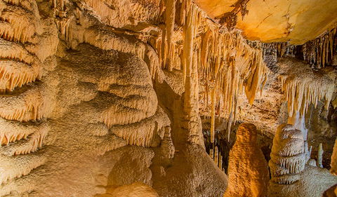 Kooringa Cave - Hotel Gold Coast 2