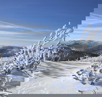 Rock Creek snowshoe track