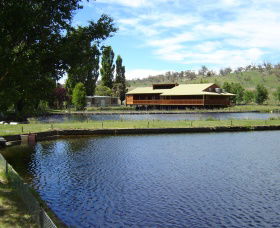 Gaden Trout Hatchery - Hotel Gold Coast 0