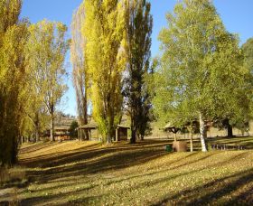 Gaden Trout Hatchery - Hotel Gold Coast 1