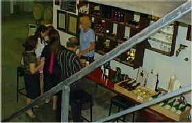 John Kosovich Wines - Hotel Gold Coast 1