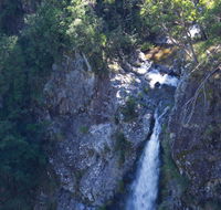 Lyrebird Falls walking track - Hotel Gold Coast