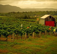 Around Hermitage Wine and Food Trail Hunter Valley - Hotel Gold Coast