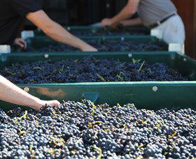 Around Hermitage Wine And Food Trail Hunter Valley - Hotel Gold Coast 6