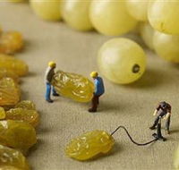 Hunter Valley Wine School - Hotel Gold Coast