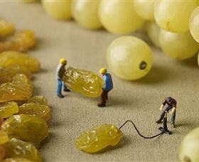 Hunter Valley Wine School - Hotel Gold Coast 0