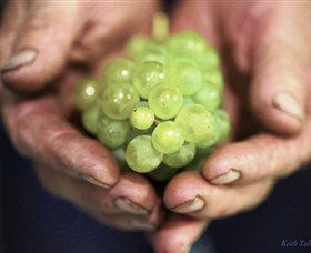 Keith Tulloch Wine - Hotel Gold Coast 1