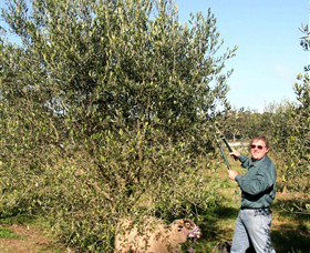 Langdale Farm - Hotel Gold Coast 3