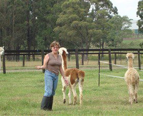 Langdale Farm - Hotel Gold Coast 4