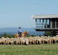Tobruk Sydney - Hotel Gold Coast