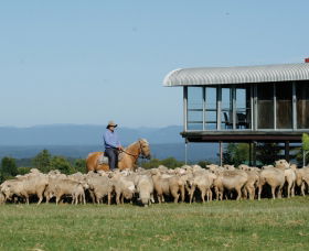 Tobruk Sydney - Hotel Gold Coast 0