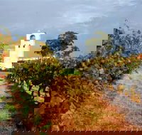 Bimbadgen Winery - Hotel Gold Coast