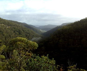 Nattai Gorge Lookout - Hotel Gold Coast 0