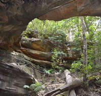 Cave Creek Walking Track - Hotel Gold Coast