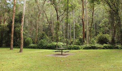 Mill Creek Picnic Area - Hotel Gold Coast 1