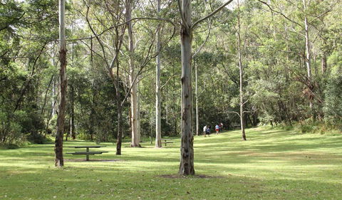 Mill Creek Picnic Area - Hotel Gold Coast 3