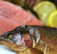 Lovedale Smokehouse Gourmet Pantry Cafe and Masterclasses - Hotel Gold Coast