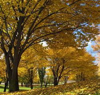 Centennial Park at Cooma - Hotel Gold Coast