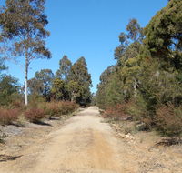 Werakata National Park - Hotel Gold Coast