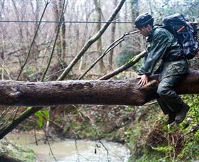 Bear Grylls Survival Academy - Hotel Gold Coast 5