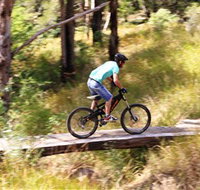 The Steps Mountain Bike Park