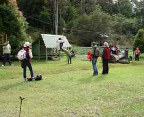 Forest Of Tranquillity - Australian Rainforest Sanctuary - Hotel Gold Coast 0