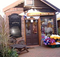 Australian Alpaca Barn - Morpeth - Hotel Gold Coast