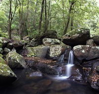 Kangaroo River - Hotel Gold Coast