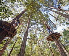 Book Yarramalong NSW Attractions Hotel Gold Coast Hotel Gold Coast