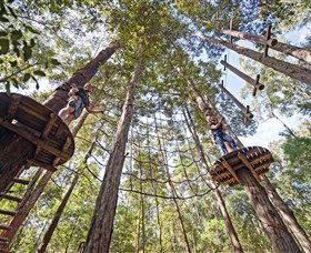 TreeTop Adventure Park Central Coast - Hotel Gold Coast 0