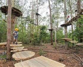 TreeTop Adventure Park Central Coast - Hotel Gold Coast 1