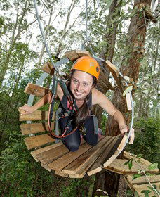 TreeTop Adventure Park Central Coast - Hotel Gold Coast 3