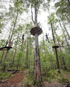 TreeTop Adventure Park Central Coast - Hotel Gold Coast 4