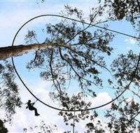 TreeTops Crazy Rider - Hotel Gold Coast