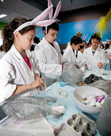Australian Nuclear Science And Technology Organisation - Hotel Gold Coast 1