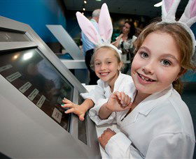 Australian Nuclear Science And Technology Organisation - Hotel Gold Coast 8