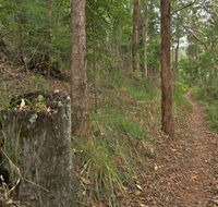 Border loop walk - Hotel Gold Coast