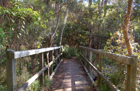 Lake Macquarie State Conservation Area - Hotel Gold Coast 2